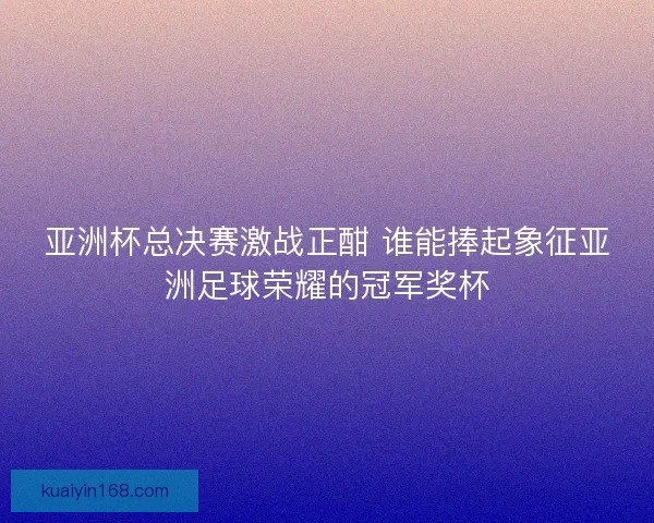 亚洲杯总决赛激战正酣 谁能捧起象征亚洲足球荣耀的冠军奖杯