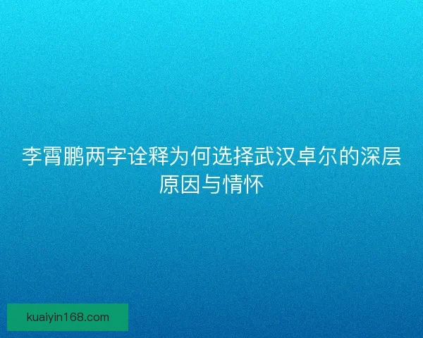 李霄鹏两字诠释为何选择武汉卓尔的深层原因与情怀